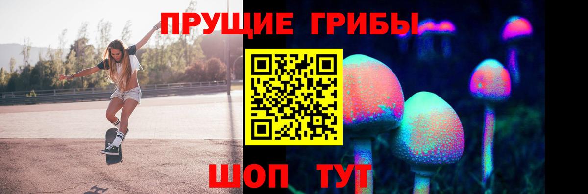 Псилоцибиновые грибы MAGIC MUSHROOMS  Вход с VPN  Лесной  Псилоцибиновые грибы GOLDEN TEACHER 